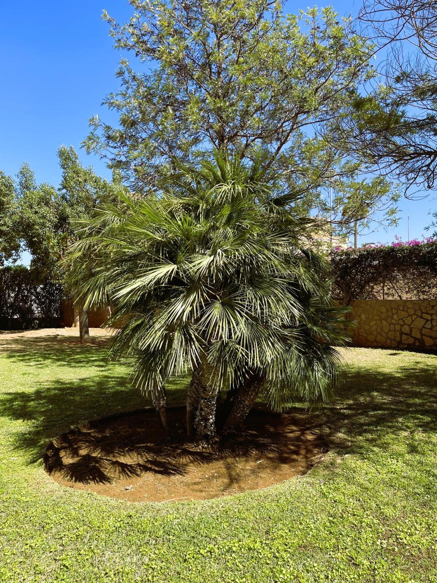 El Casa Kama Apartman Denia Kültér fotó