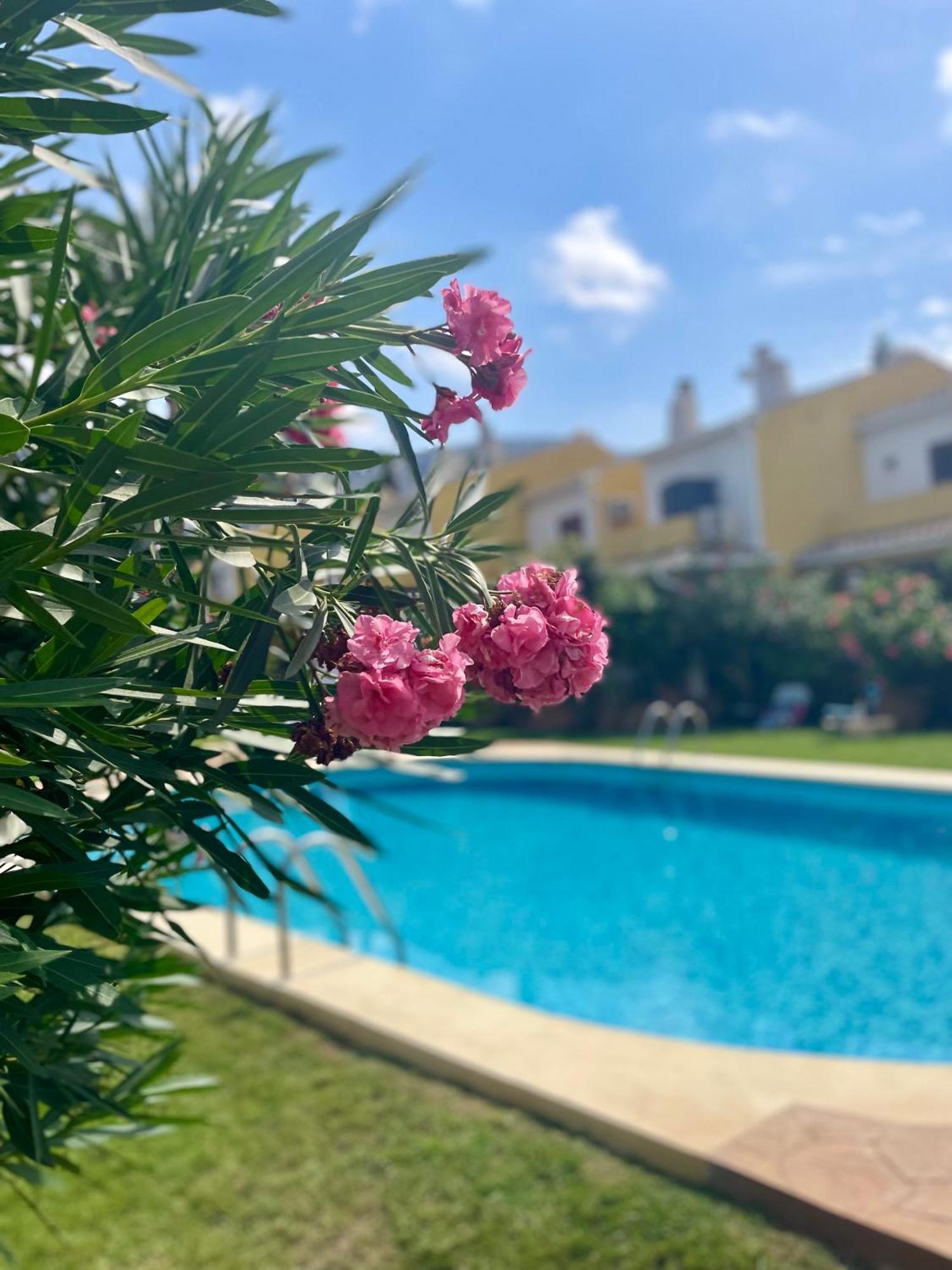 El Casa Kama Apartman Denia Kültér fotó